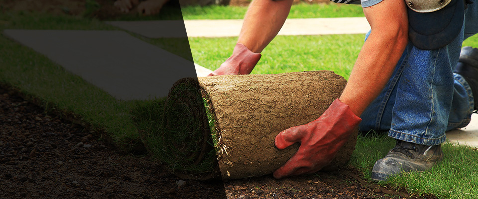 Hazard Landscapers